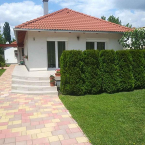 Holiday home in Keszthely/Balaton 39648